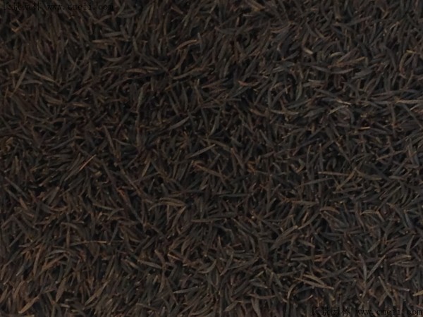 格?；ǚN子圖片